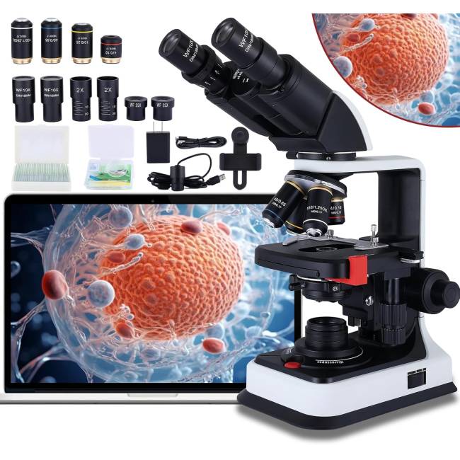 Imagem da promoção