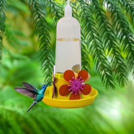 KIT 2 Bebedouros para Beija-Flor 90ml com Bandeja