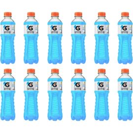 Isotônico Zero Gatorade, Frutas Silvestres, Garrafa 350ml, Pack com 12 unidades