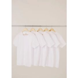 Kit com 5 Camisetas Masculinas Básicas Hering