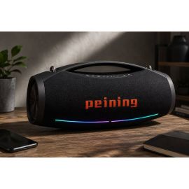 Peining 600w boombox 2mic pei-s121