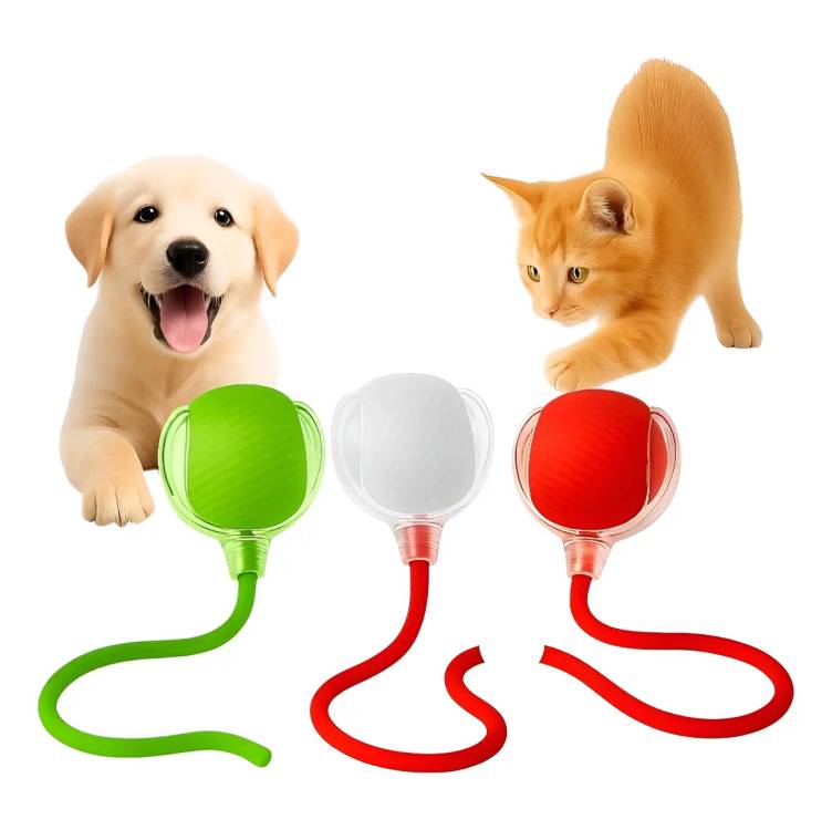Imagem da promoção